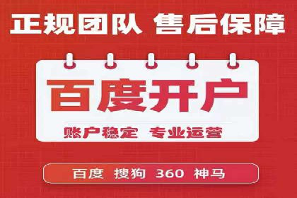 某电商平台SEM竞价广告的转化率提升案例